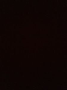 Meet your Posher, Luz